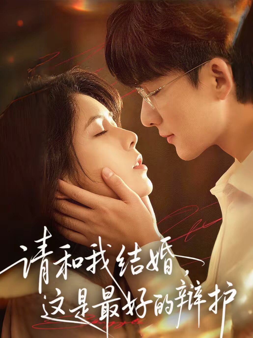 请和我结婚，这是最好的辩护第26集
