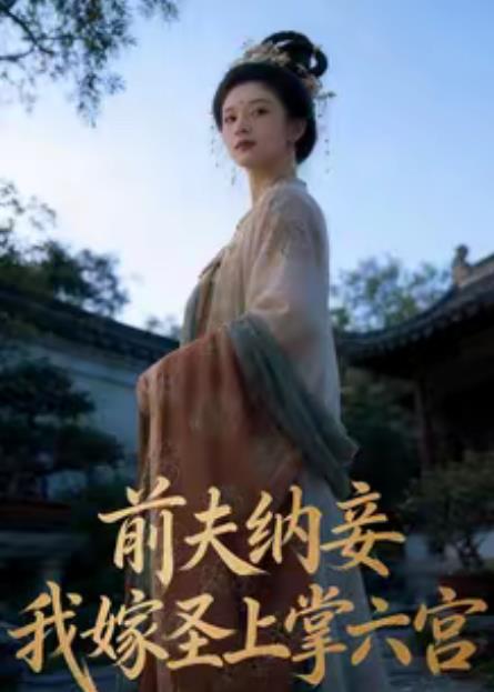 前夫纳妾，我嫁圣上掌六宫第48集