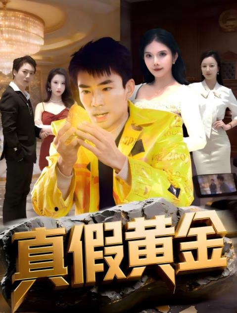 真假黄金第40集