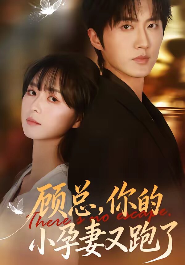 顾总，你的小孕妻又跑了第01集