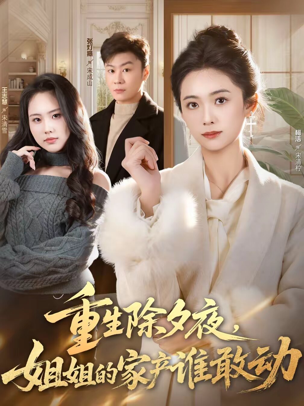 重生除夕夜，姐姐的家产谁敢动第13集