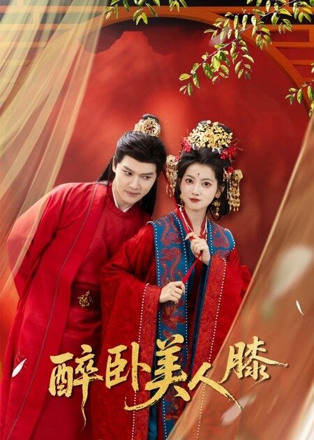 醉卧美人膝第25集