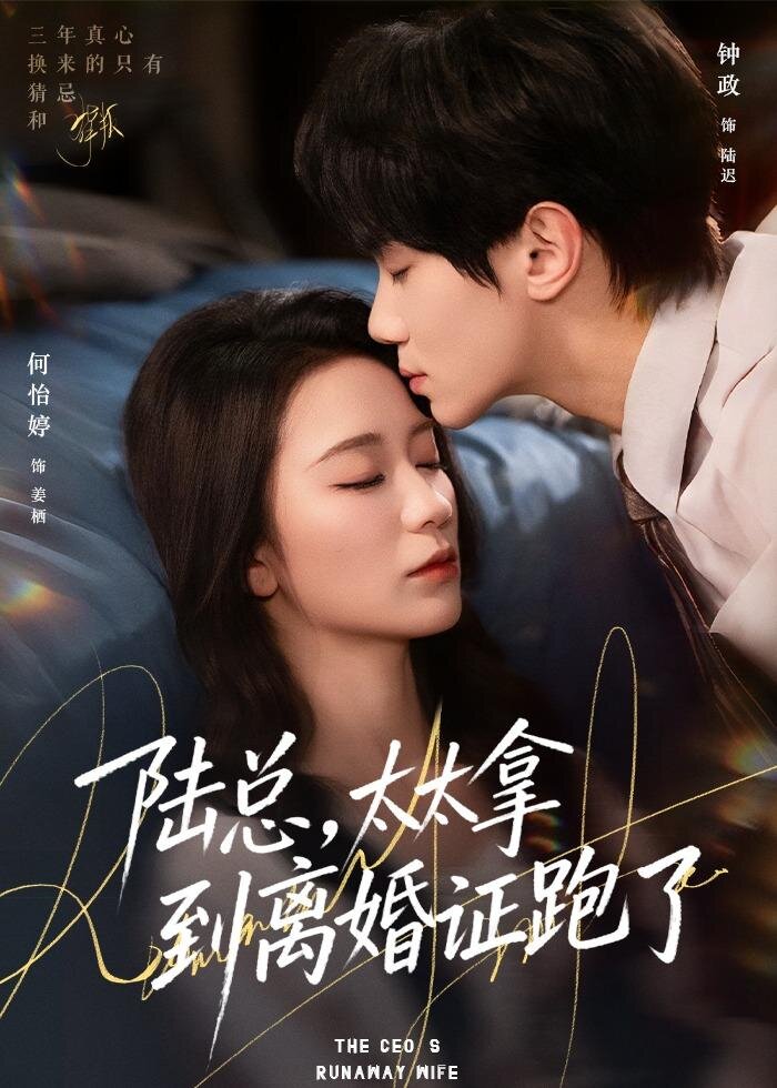 陆总，太太拿到离婚证跑了第35集