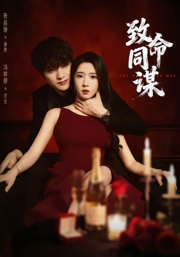致命同谋第22集