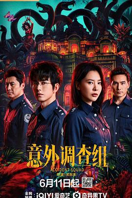 意外调查组第14集